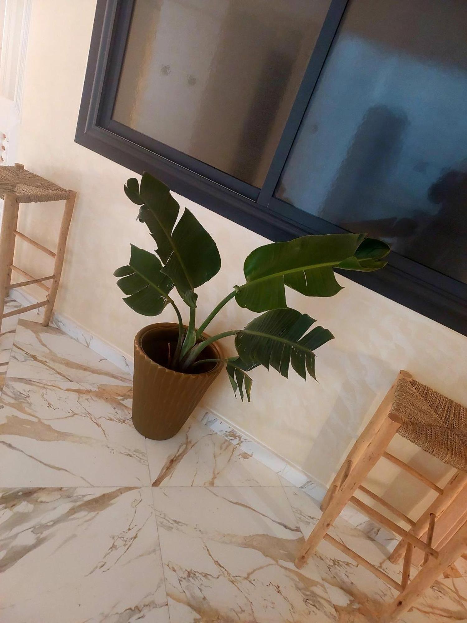 Mogador Appartements T6 Эс-Сувейра Экстерьер фото